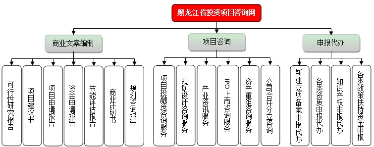 黑龙江省投资项目咨询网业务结构图